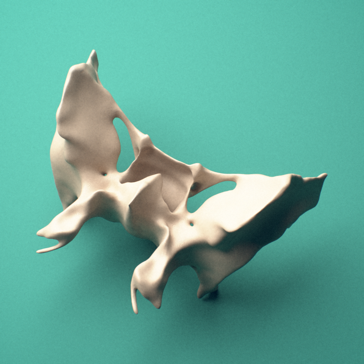 3D-printed Sphenoid bone, lateral view showing the lesser wing.