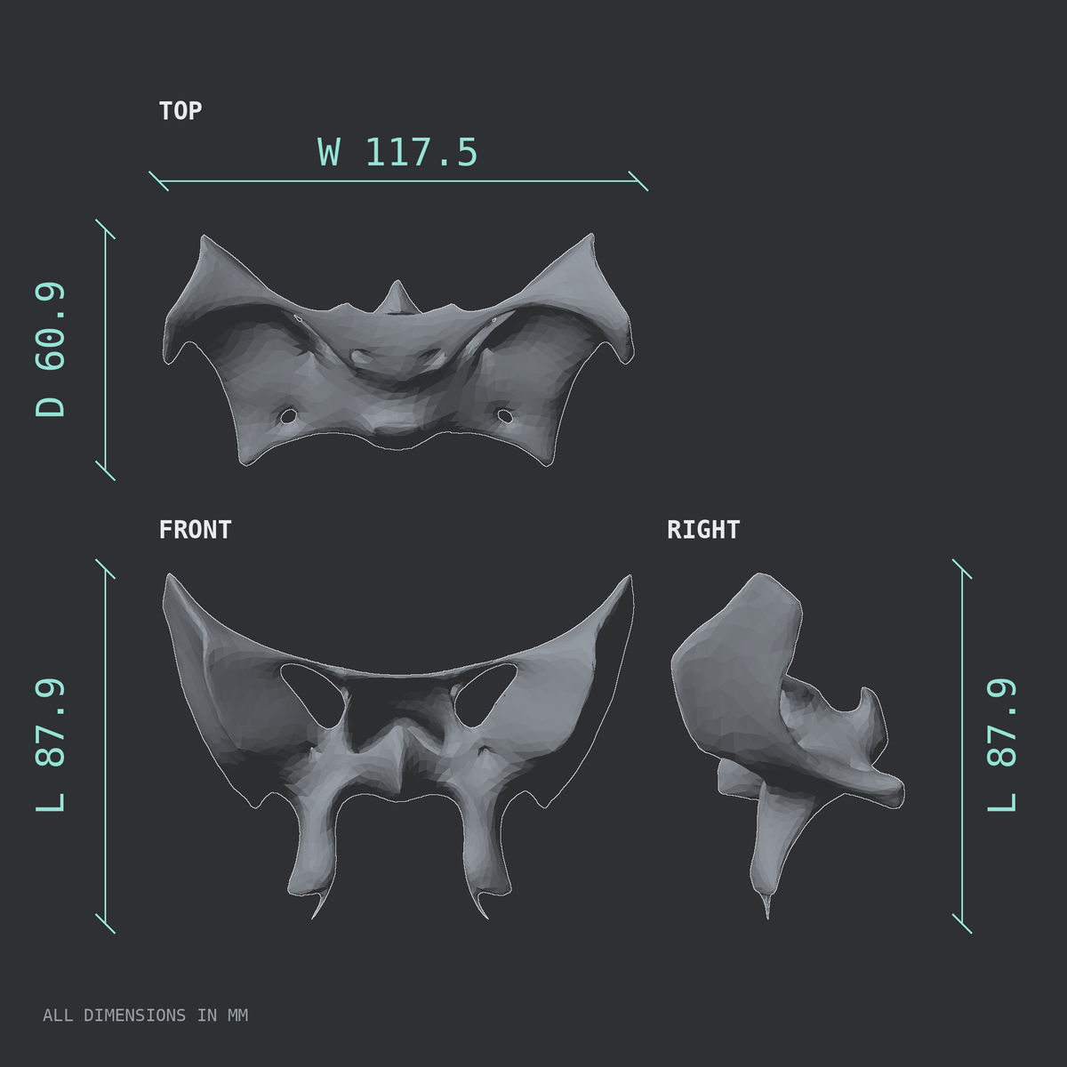 3D rendered dimensional drawing of the Sphenoid bone, top, front, and side views.