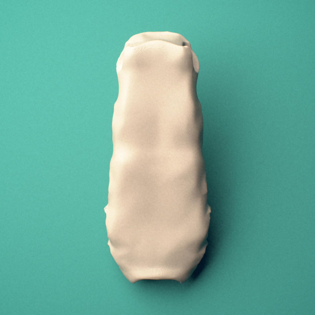 3D-printed Sternum body, inferior view showing the sternal angle border.