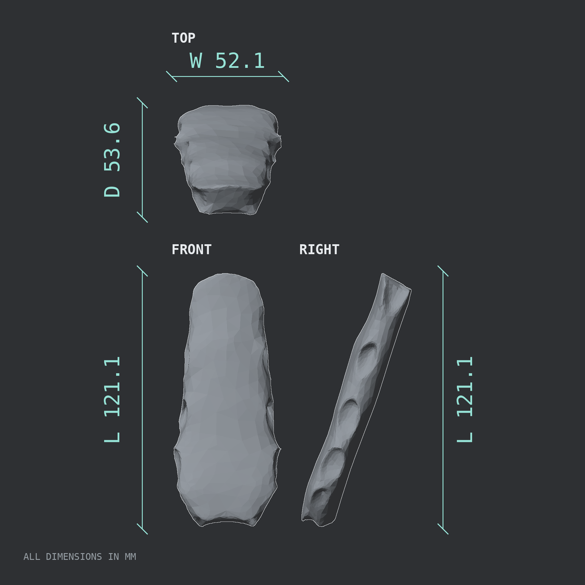 3D rendered dimensional drawing of the Sternum body, top, front, and side views.