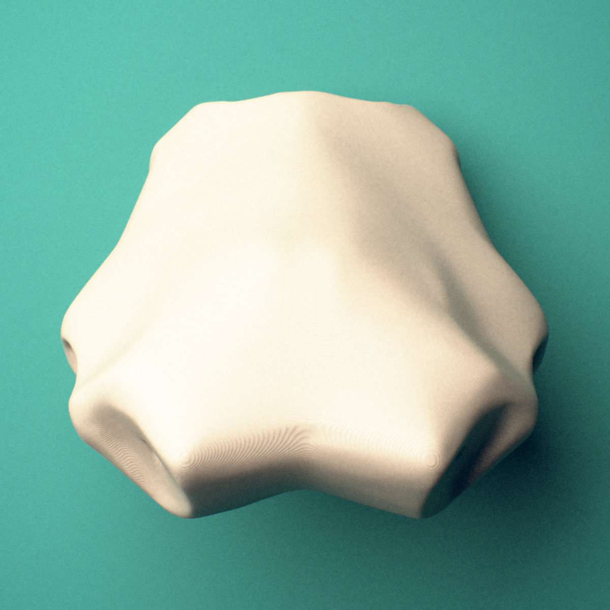 3D-printed Sternum manubrium, anterior view showing the overall shape.