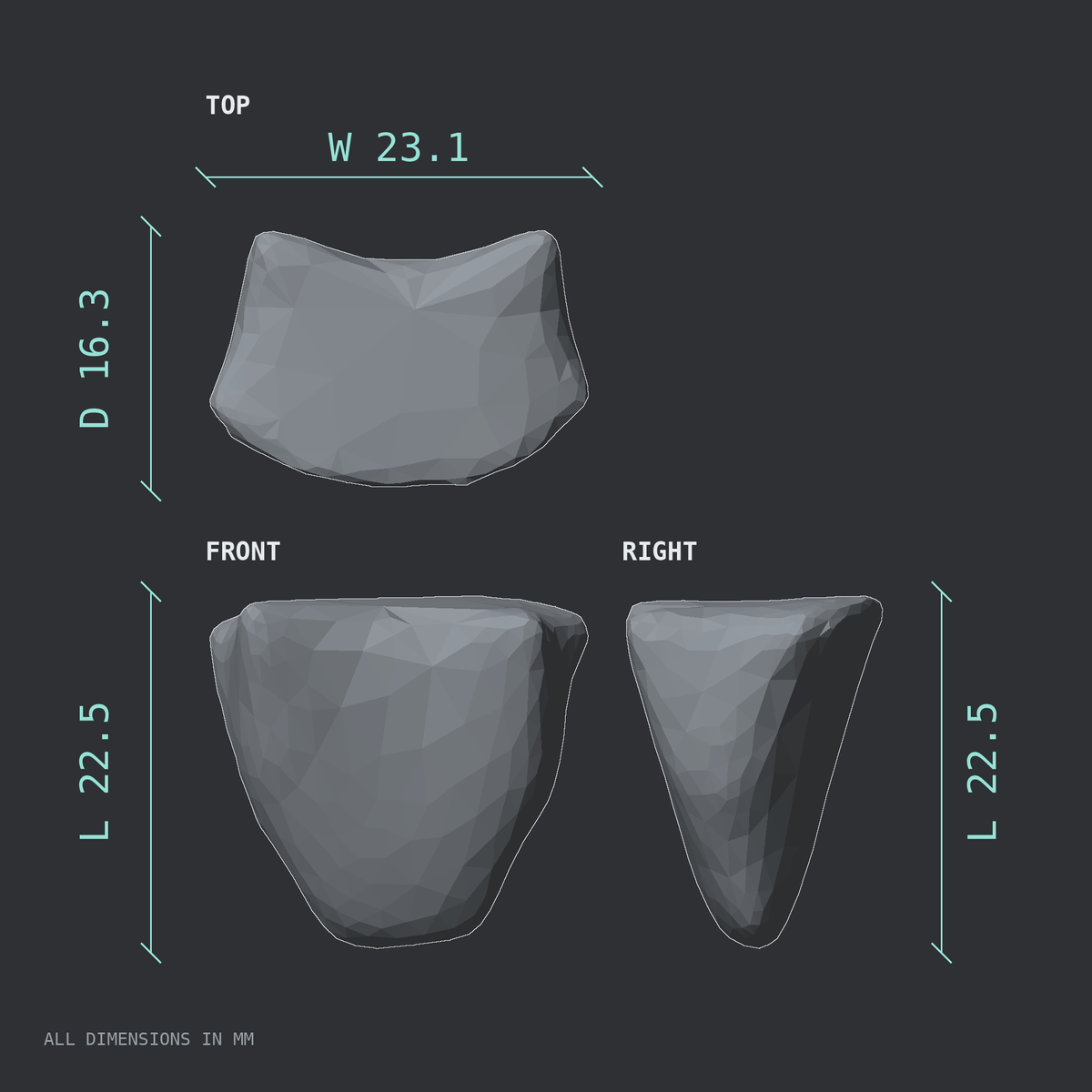 3D rendered dimensional drawing of the Sternum xiphoid process, top, front, and side views.