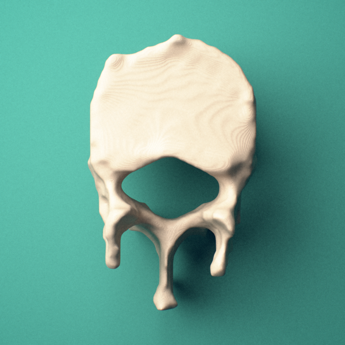 3D-printed T12 thoracic vertebra, superior view showing the vertebral body and vertebral foramen.