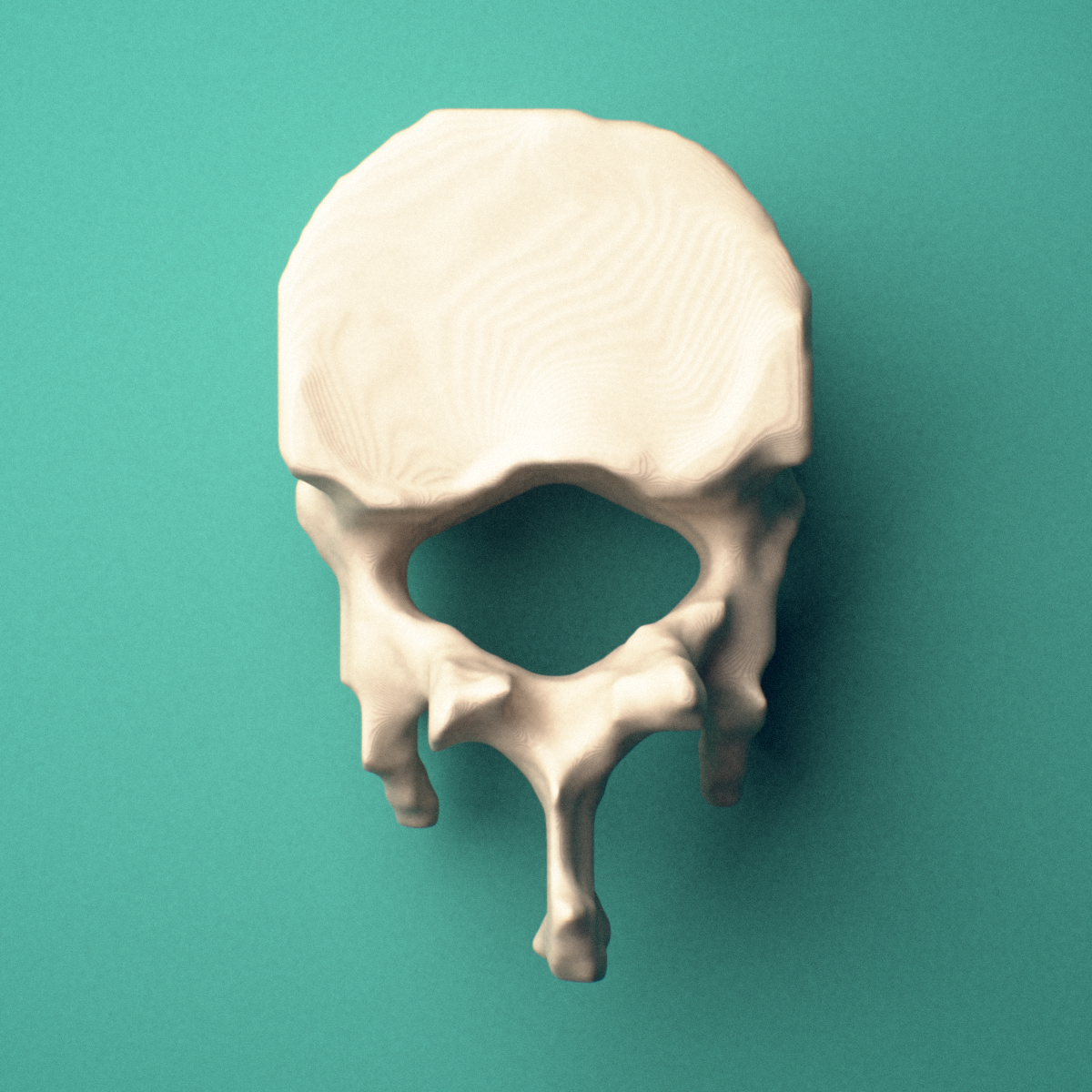 3D-printed T12 thoracic vertebra, superior oblique view showing the spinous process and superior costal facets.