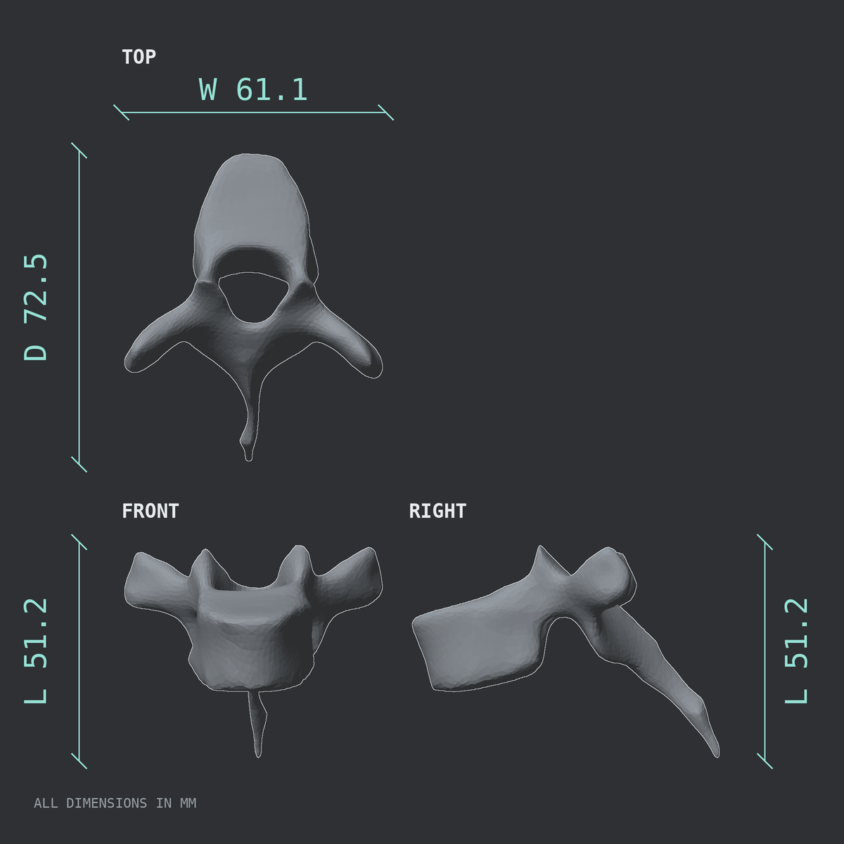 3D rendered dimensional drawing of the T4 thoracic vertebra, top, front, and side views.