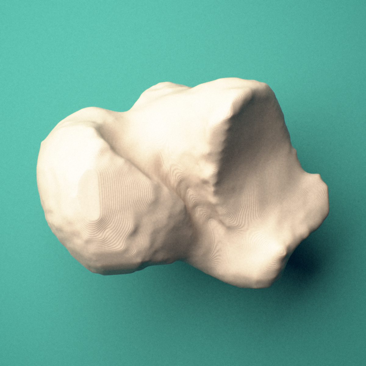3D-printed Left talus (ankle bone), oblique view showing the head and neck.