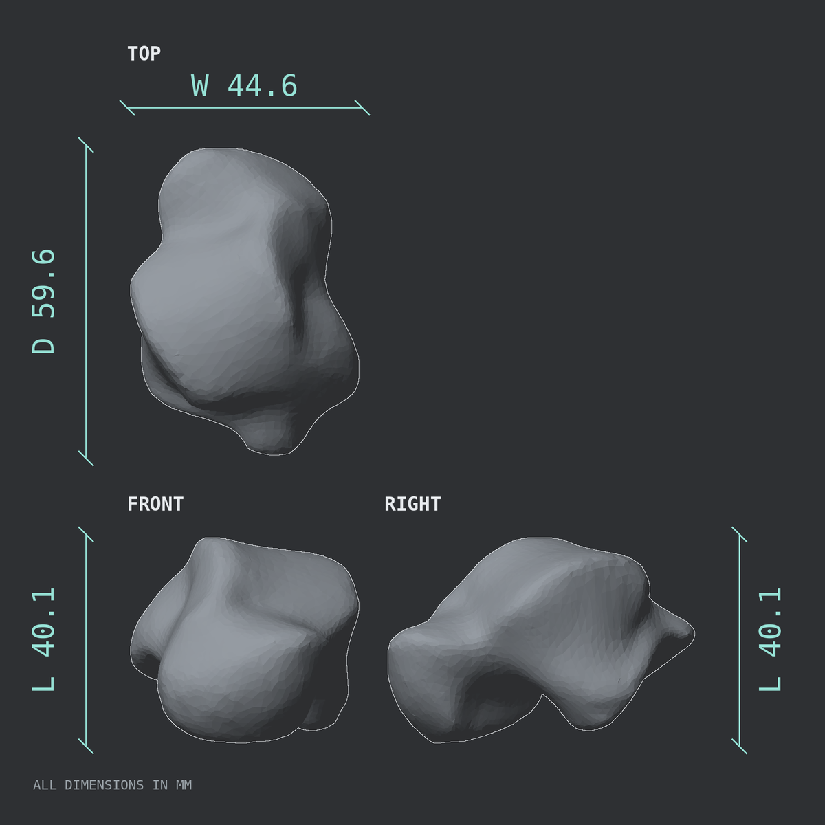 3D rendered dimensional drawing of the Left talus (ankle bone), top, front, and side views.