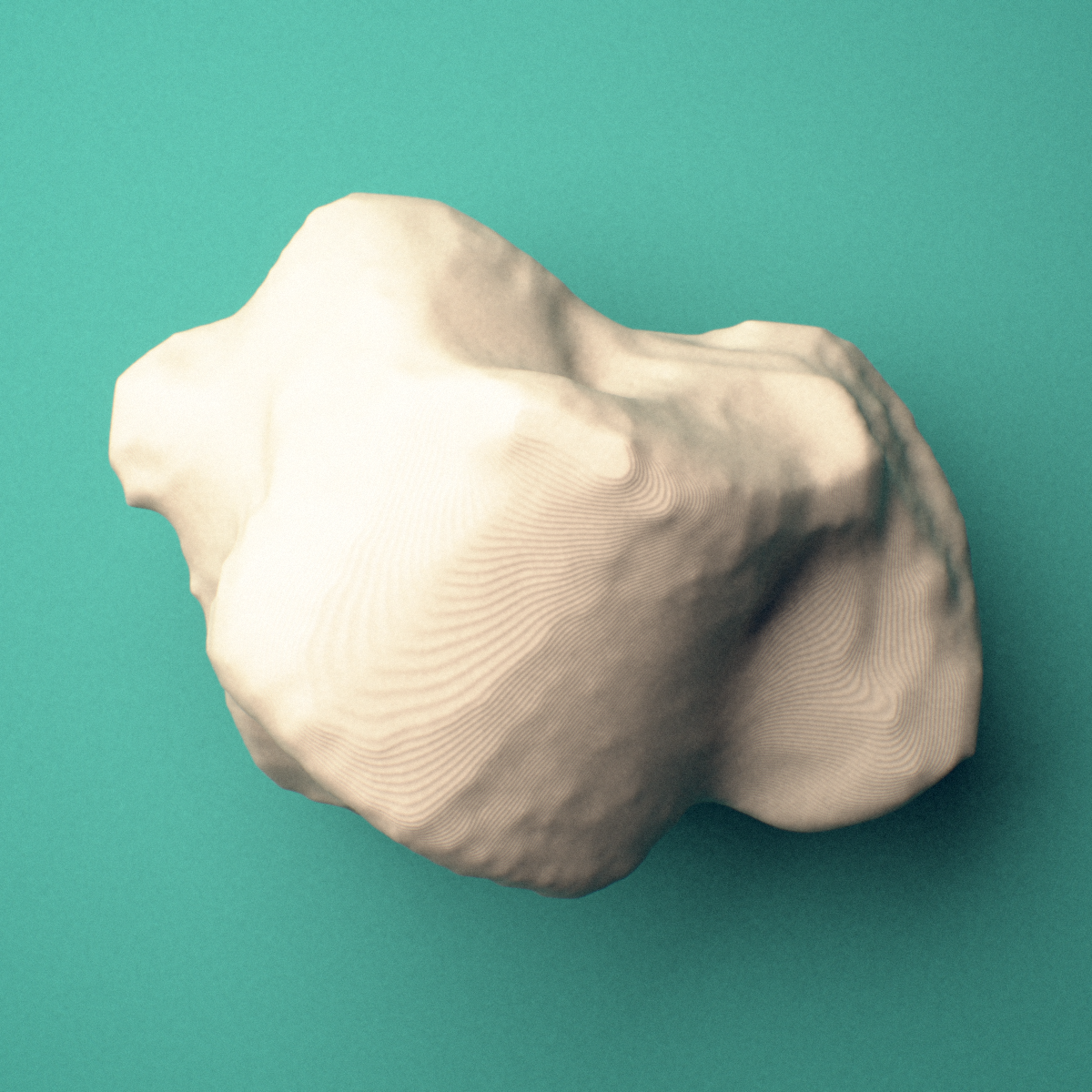 3D-printed Right talus (ankle bone), oblique view showing the trochlea (superior articular surface).