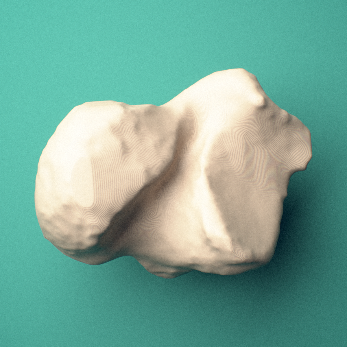 3D-printed Right talus (ankle bone), oblique view showing the head and neck.