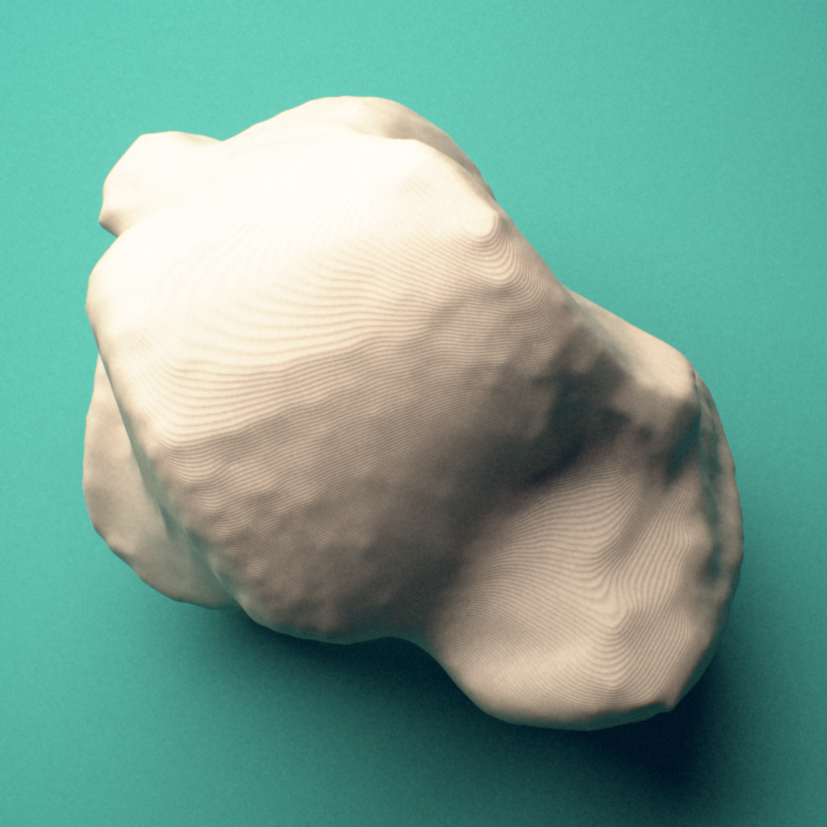 3D-printed Right talus (ankle bone), lateral view showing the posterior process.
