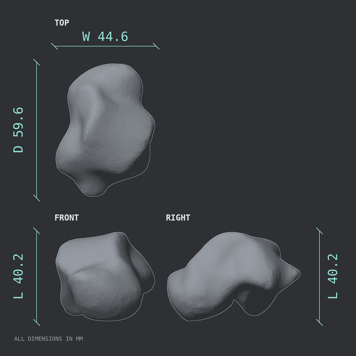3D rendered dimensional drawing of the Right talus (ankle bone), top, front, and side views.