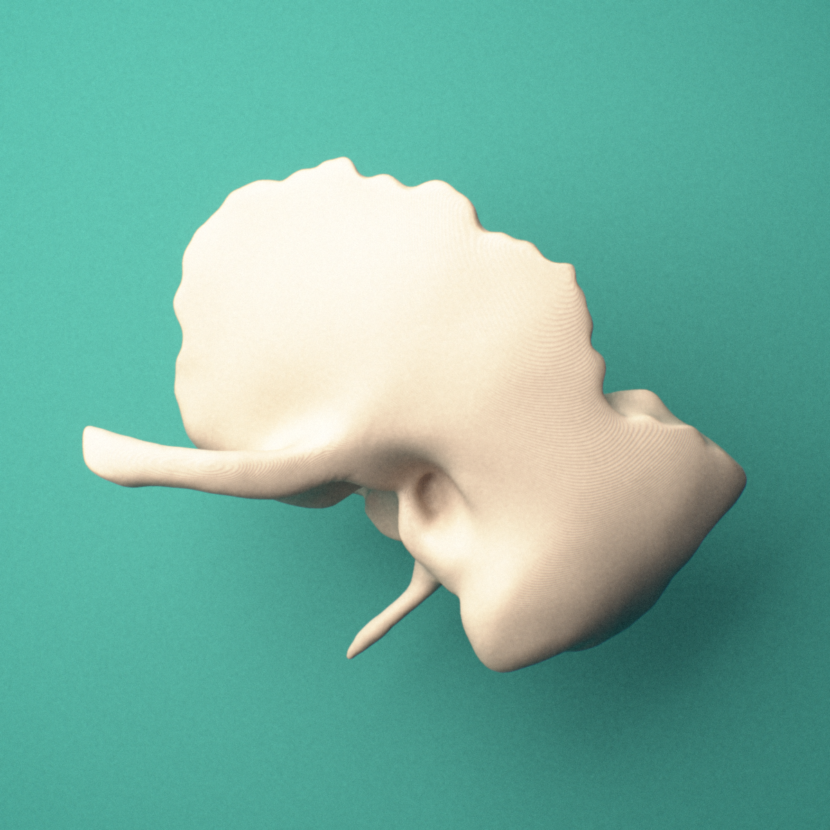 3D-printed Left temporal bone, anterior view showing the zygomatic process.