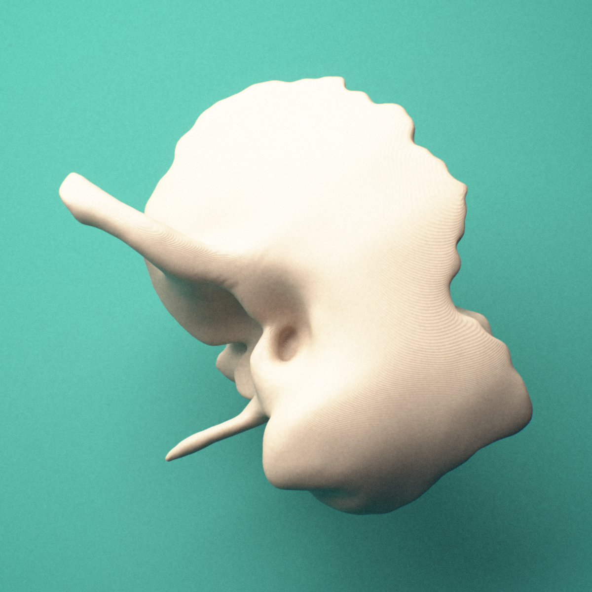 3D-printed Left temporal bone, posterior view showing the petrous portion.