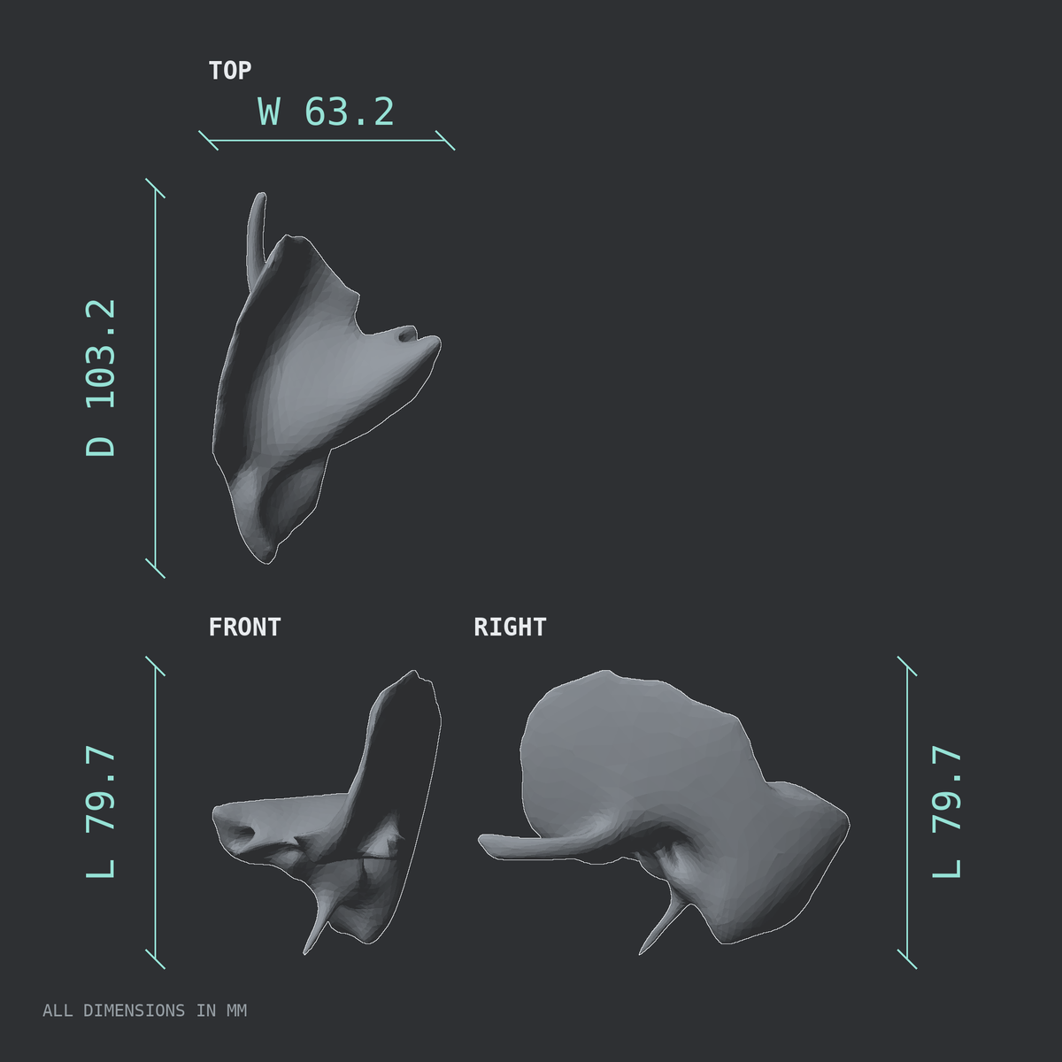 3D rendered dimensional drawing of the Left temporal bone, top, front, and side views.