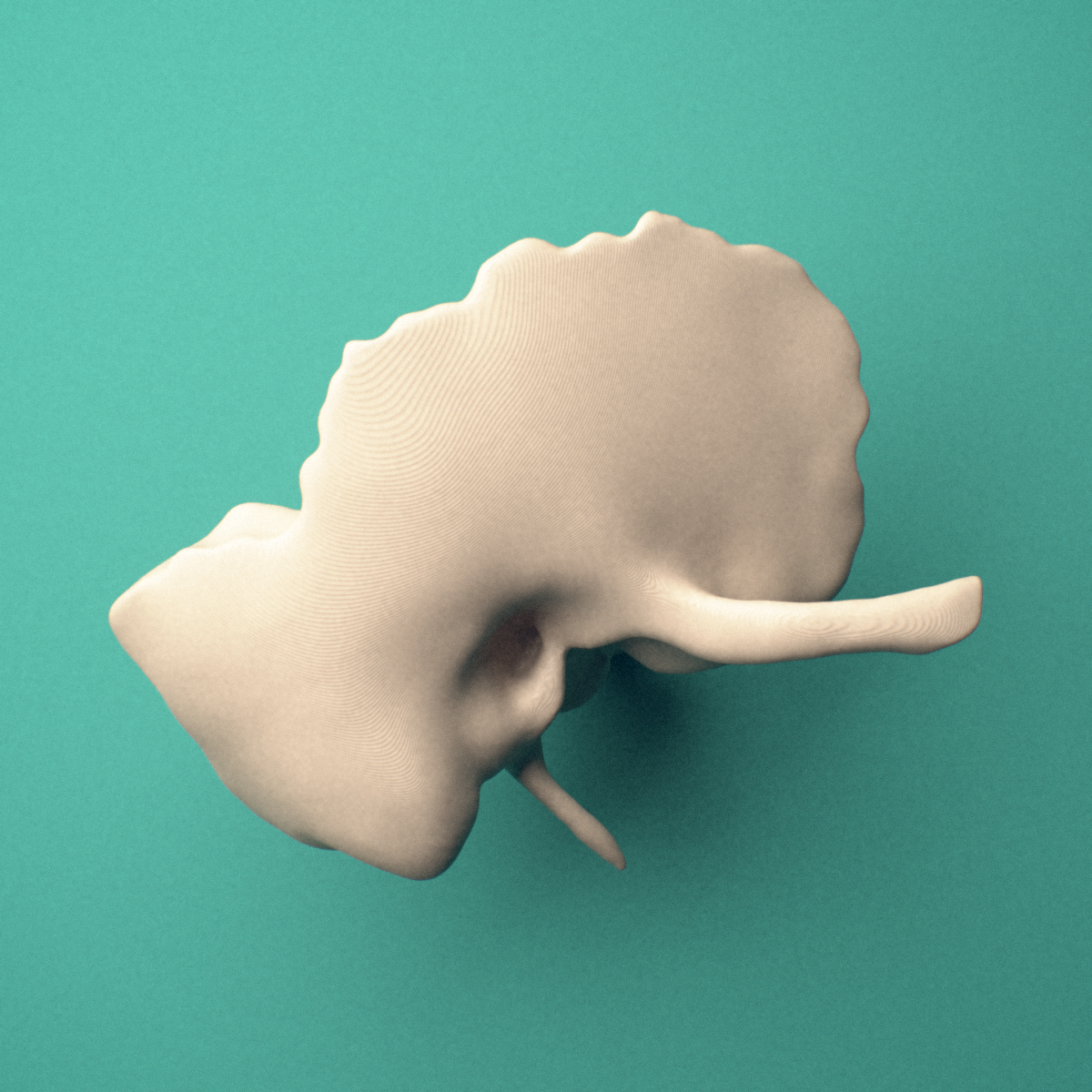 3D-printed Right temporal bone, anterior oblique view showing the external auditory meatus.