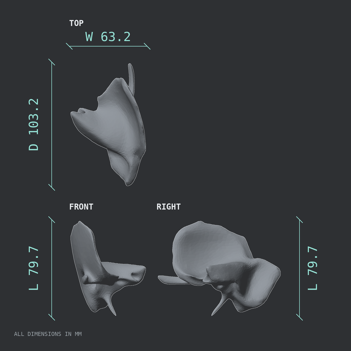 3D rendered dimensional drawing of the Right temporal bone, top, front, and side views.