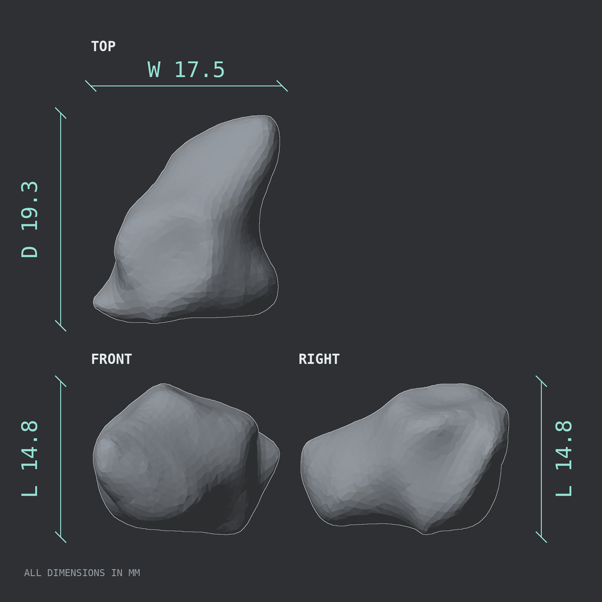 3D rendered dimensional drawing of the Left trapezium bone (wrist), top, front, and side views.