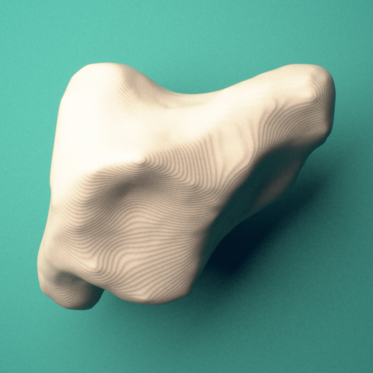 3D-printed Right trapezium bone (wrist), oblique view showing the saddle-shaped facet for the first metacarpal.
