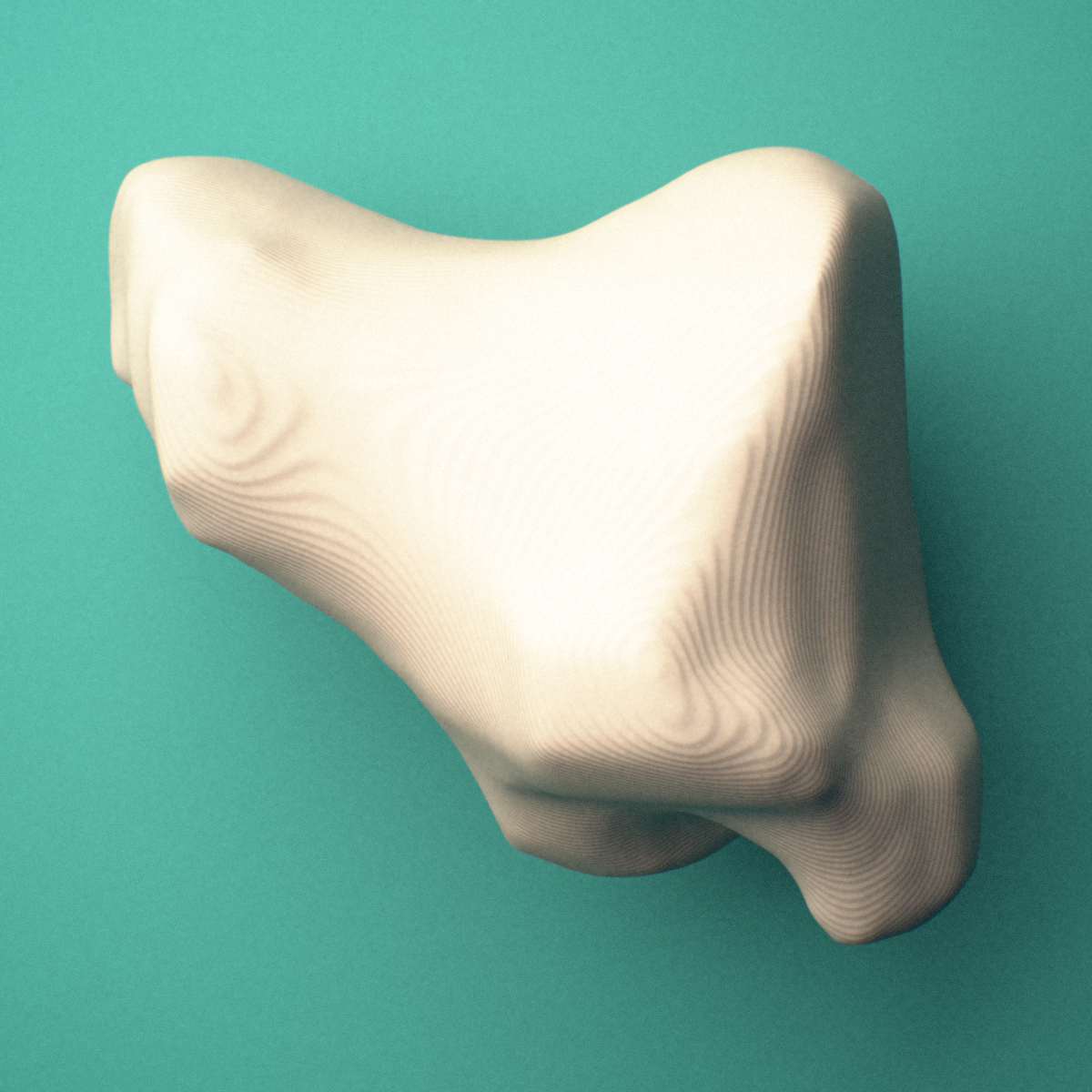 3D-printed Right trapezium bone (wrist), oblique view showing the tubercle.