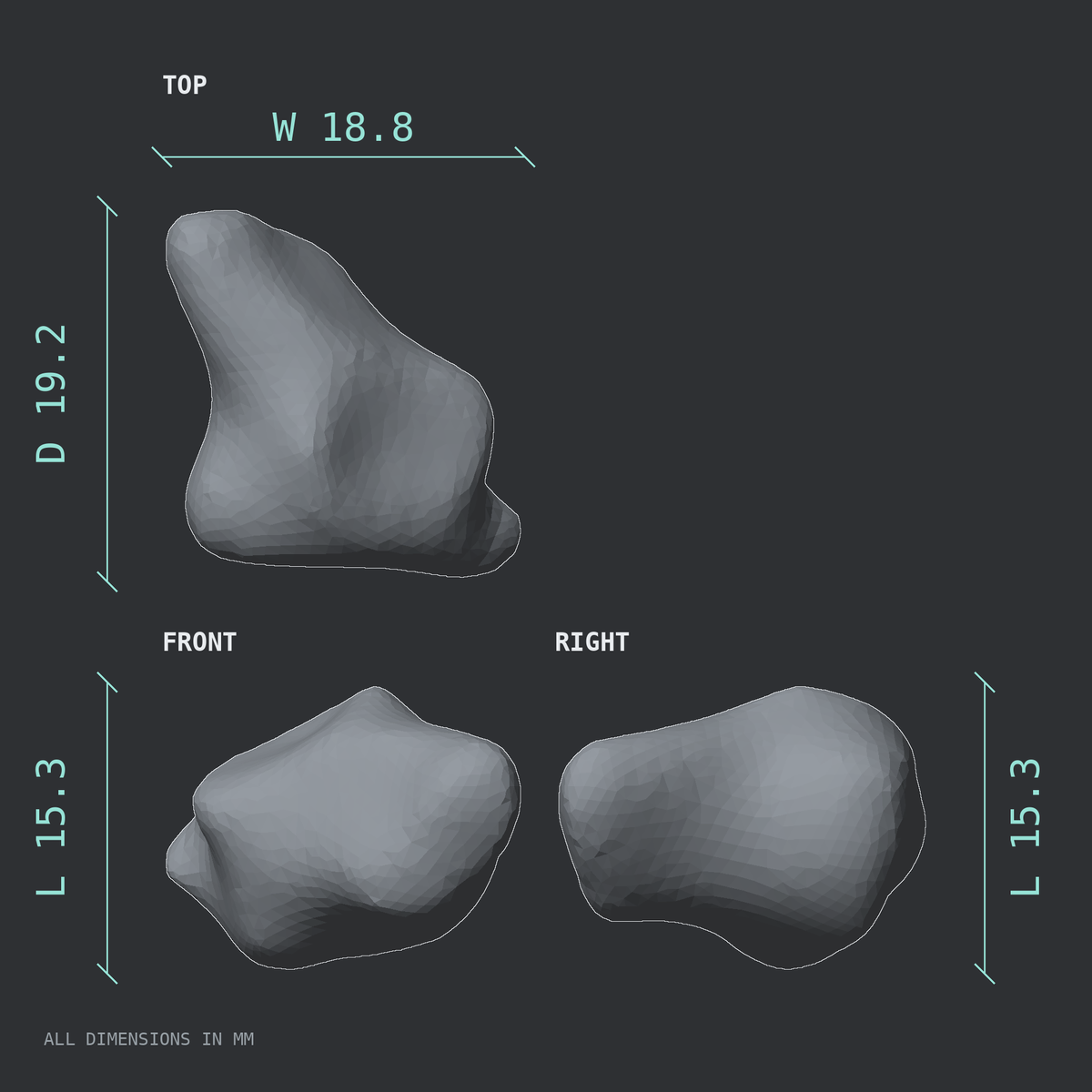 3D rendered dimensional drawing of the Right trapezium bone (wrist), top, front, and side views.