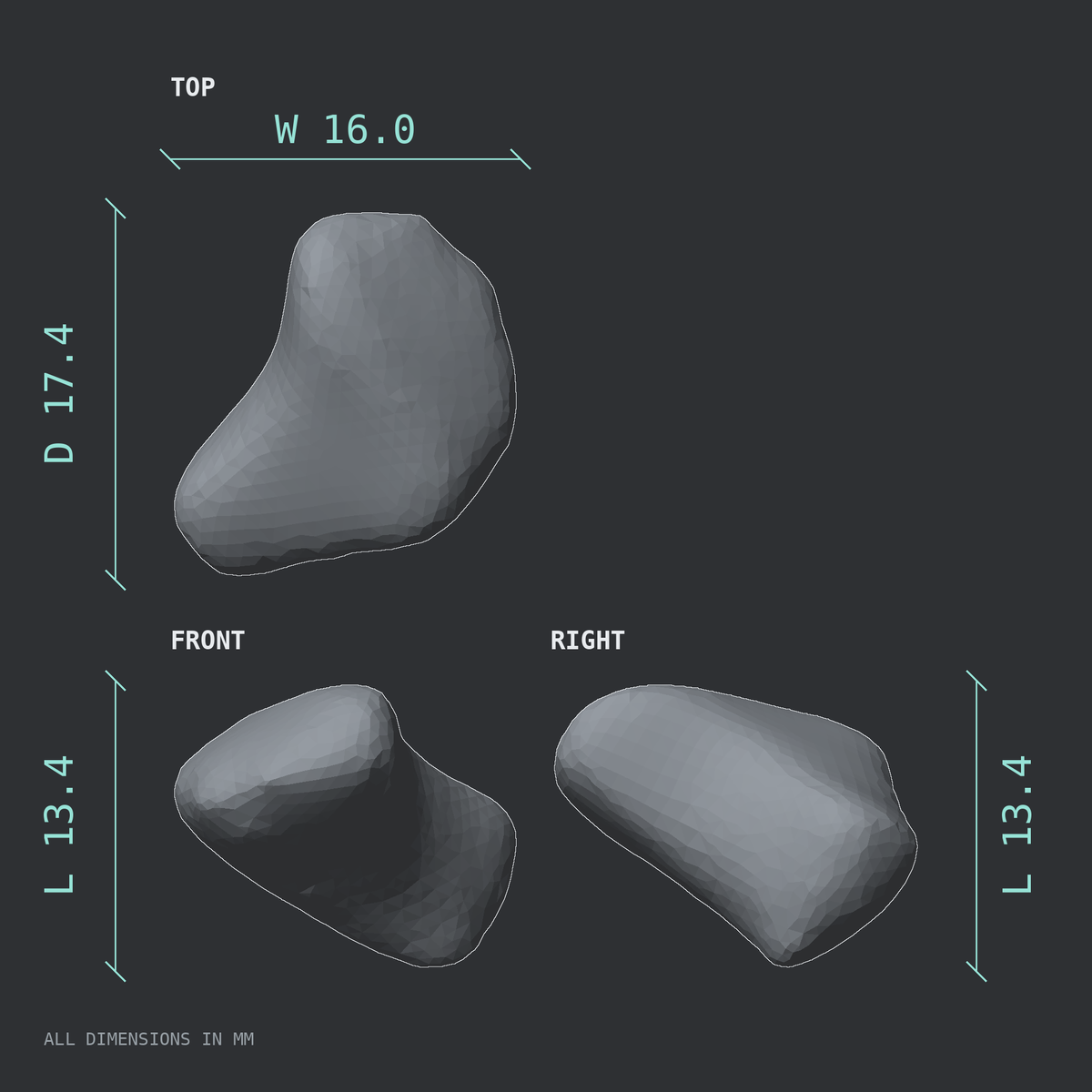 3D rendered dimensional drawing of the Left trapezoid bone (wrist), top, front, and side views.