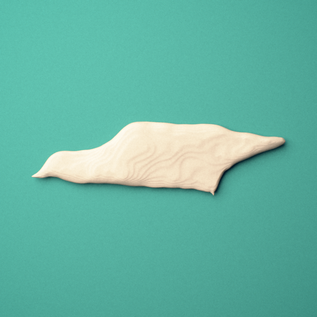3D-printed Vomer bone, oblique view showing the midline nasal septum surface.