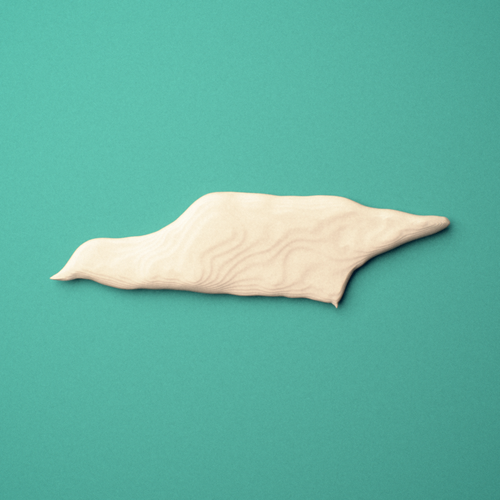 3D-printed Vomer bone, oblique view showing the midline nasal septum surface.