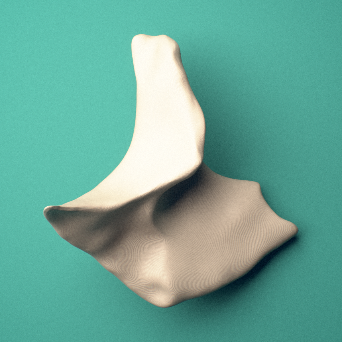 3D-printed Right zygomatic bone (cheekbone), oblique close-up view showing the temporal process.